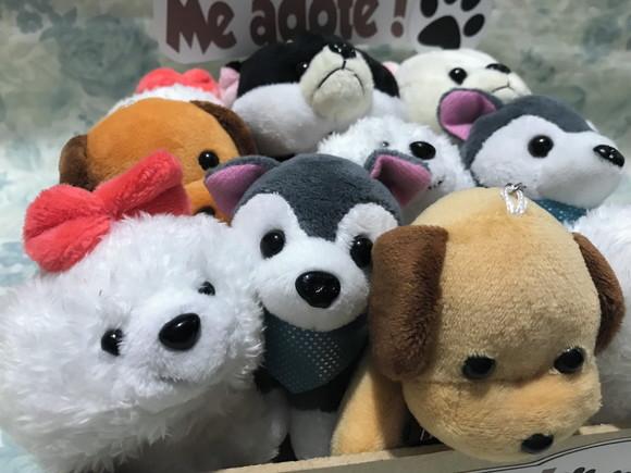 Lembrancinha Cachorrinhos 10