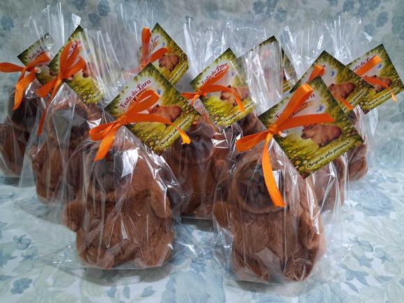 Lembrancinha Capivara 20 Unid