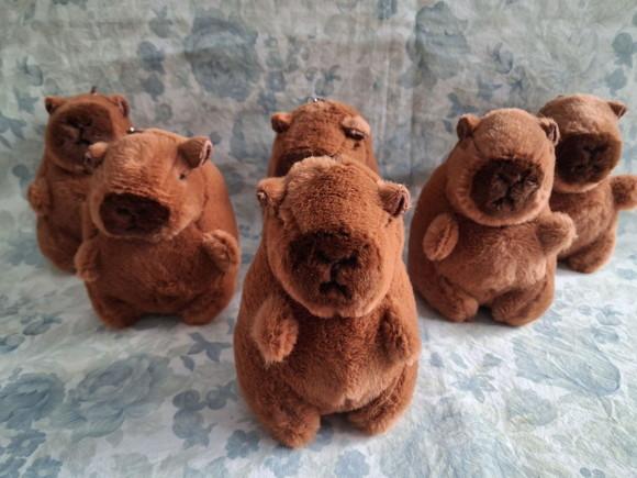 Lembrancinha Capivara 50 Unid