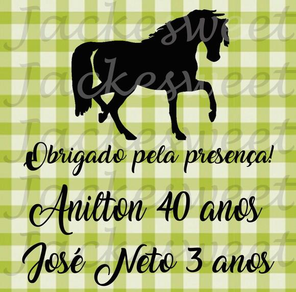 TAG Cavalo 08