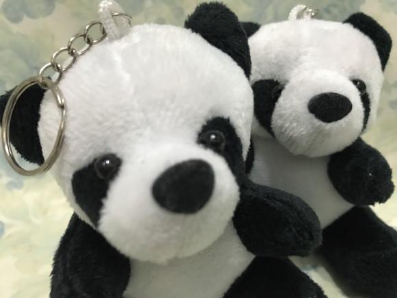 Ursinho Panda Pacote 20 Unidades S/c