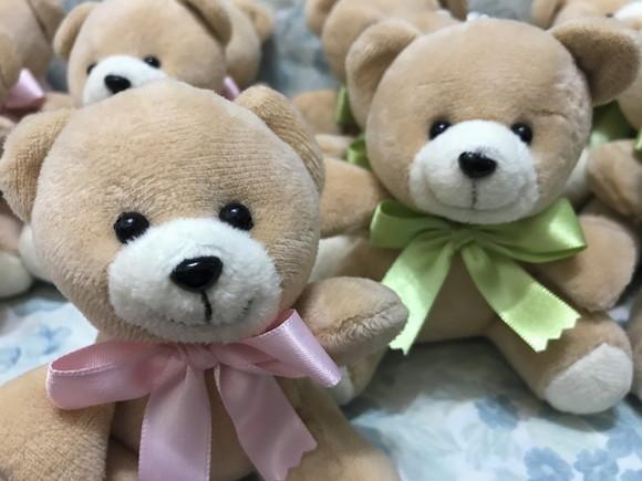 Ursinho Teddy Chá Revelação 20 Unidades