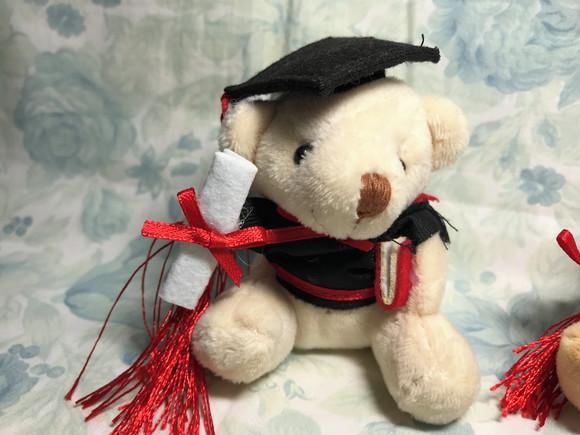 Urso Formatura