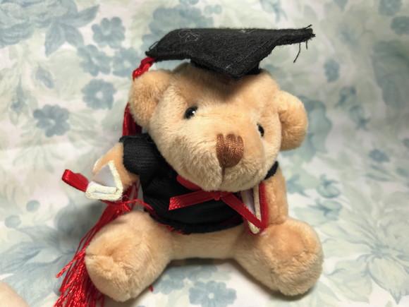 Urso Formatura