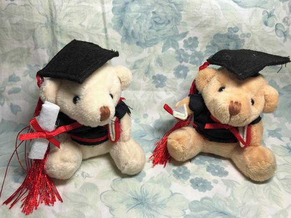 Urso Formatura