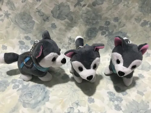 Cachorro em Pelúcia Chaveiro Husky Mod2 30unid