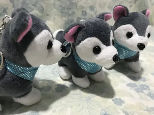 Cachorro em Pelúcia Chaveiro Husky Mod2 30unid