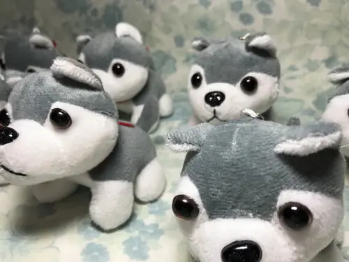 Cachorro em Pelúcia Chaveiro Husky Siberiano 20 Unidades