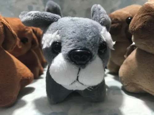 Cachorro em Pelúcia Chaveiro Variado 110 Unidades