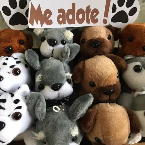 Lembrancinha Cachorrinhos 12unid com Bandeja Personalizada