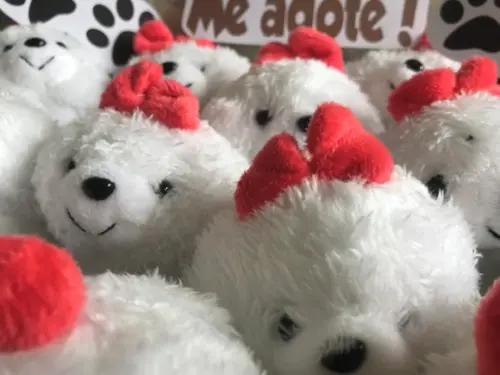 Lembrancinha Cachorrinhos Poodle 14