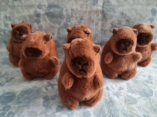 Lembrancinha Capivara 50 Unid