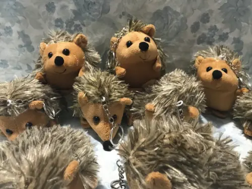 LEMBRANCINHA PORCO ESPINHO