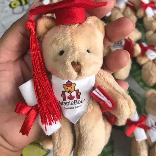 Lembrancinha Ursinho Formatura Personalizado 20 Unid