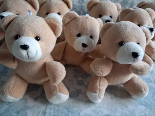 Ursinho Teddy 15 Unidades