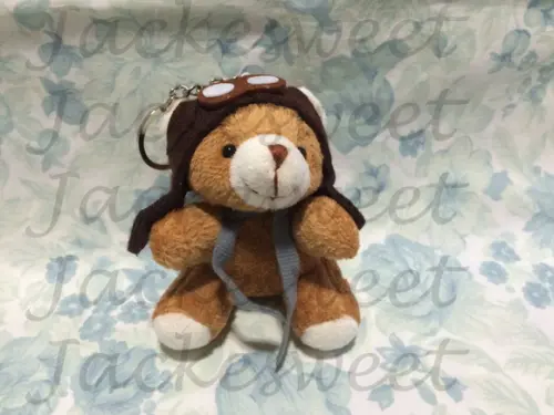 Urso Aviador