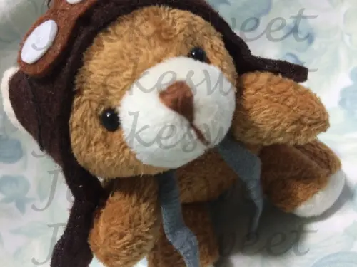 Urso Aviador