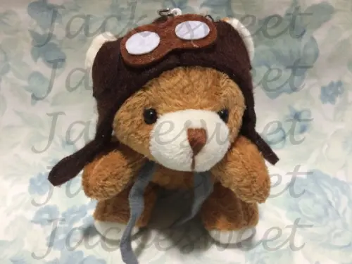 Urso Aviador