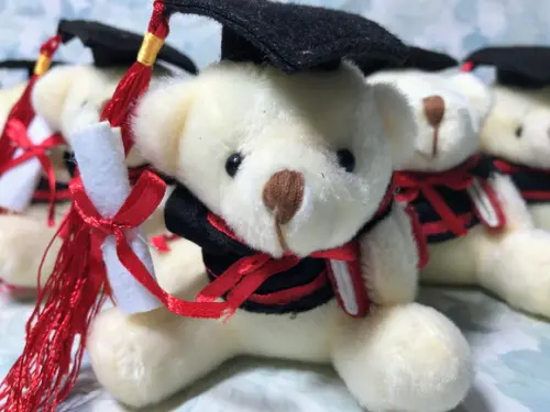 Urso creme Formatura