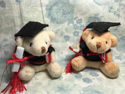 Urso Formatura