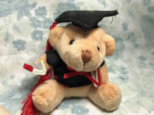 Urso Formatura