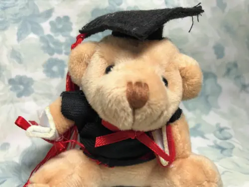 Urso Formatura