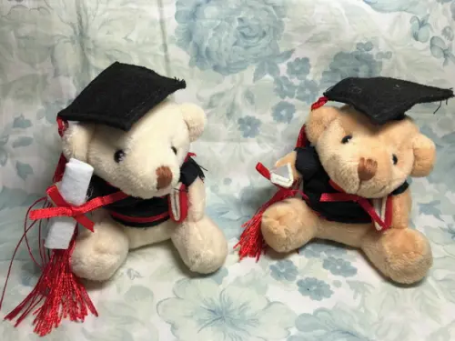 Urso Formatura