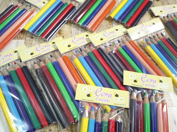 Lembrança Mini Lápis de Cor Abelha Abelhinha Bee