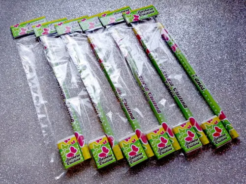 Lembrança de Festa Kit Escolar Jardim Borboleta