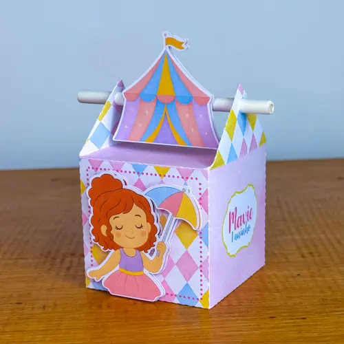 Kit Festa Personalizado Circo Menina (20 Peças)