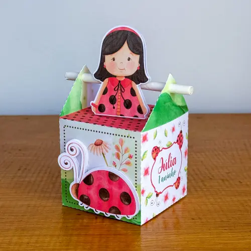 Kit Festa Personalizado Joaninha (20 Peças)