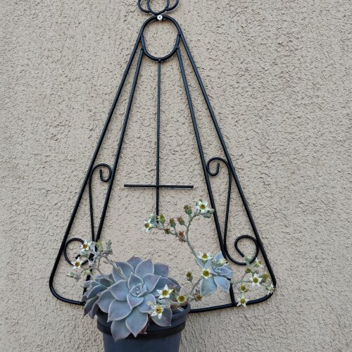 suporte para plantas Floreira decorativa de parede