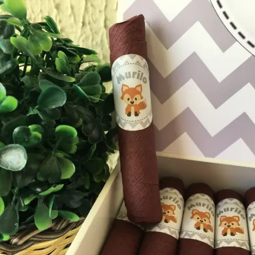 Charutos de Chocolate Recheados Raposa Chevron
