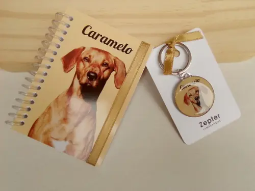 Kit de Aniversário Lembrancinha Cachorro Pet Personalizado