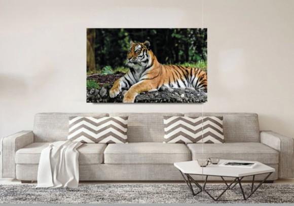 Painel Fotográfico Personalizado