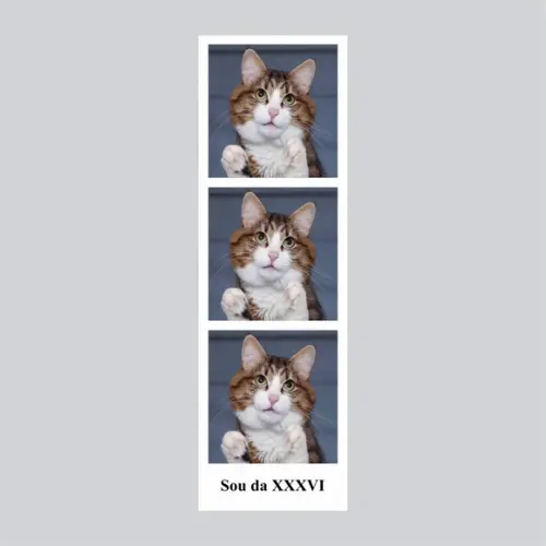 Foto estilo Polaroide em tiras 30 unidades
