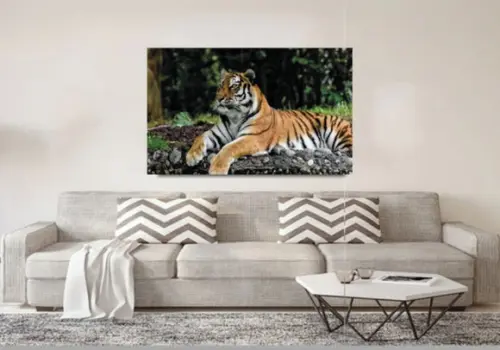 Painel Fotográfico personalizado