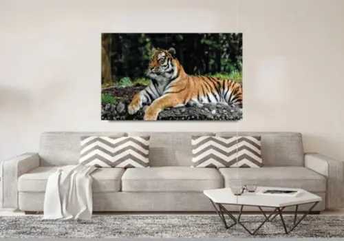 Painel fotografico PVC 10mm
