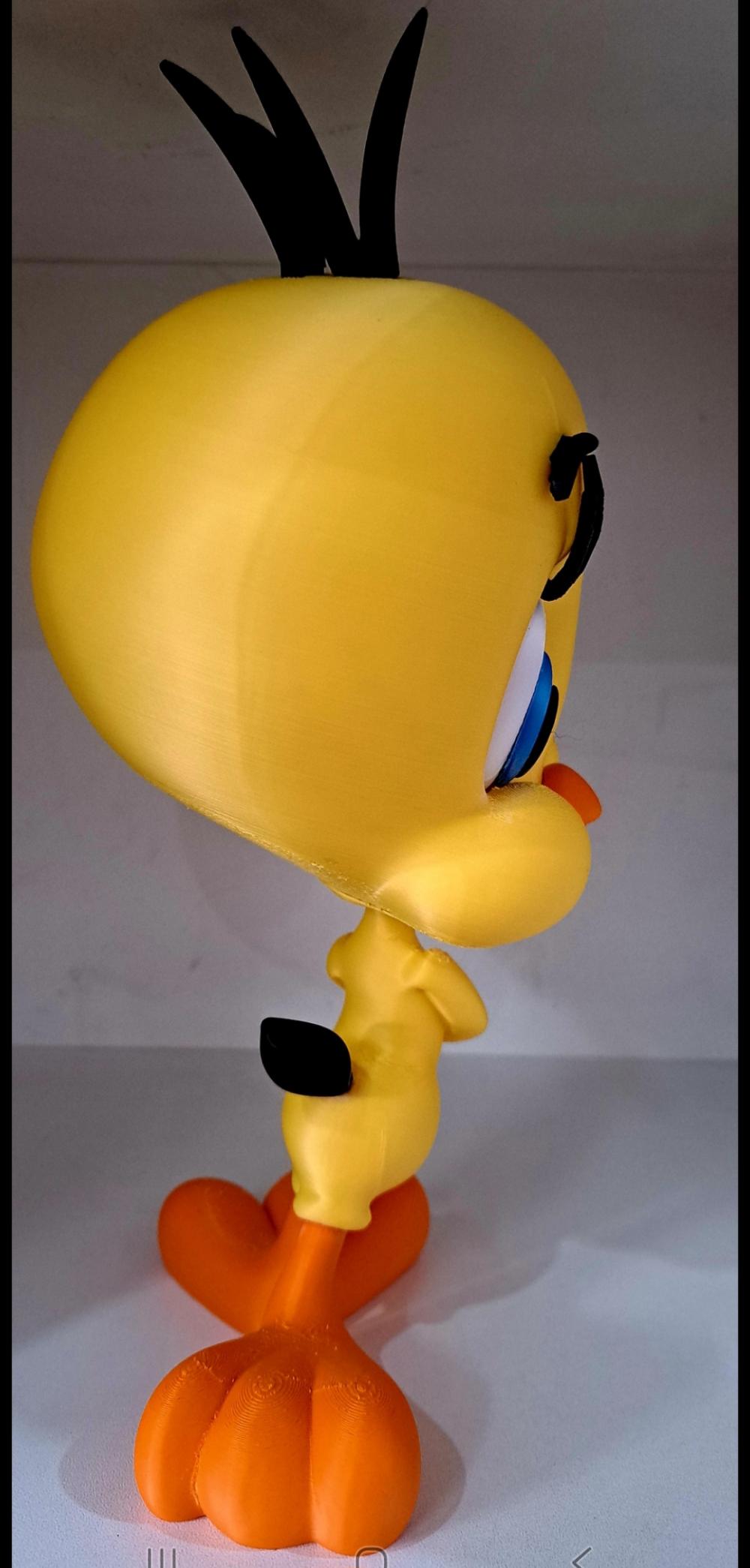 Piu-piu 3d Impresso Tinytoon