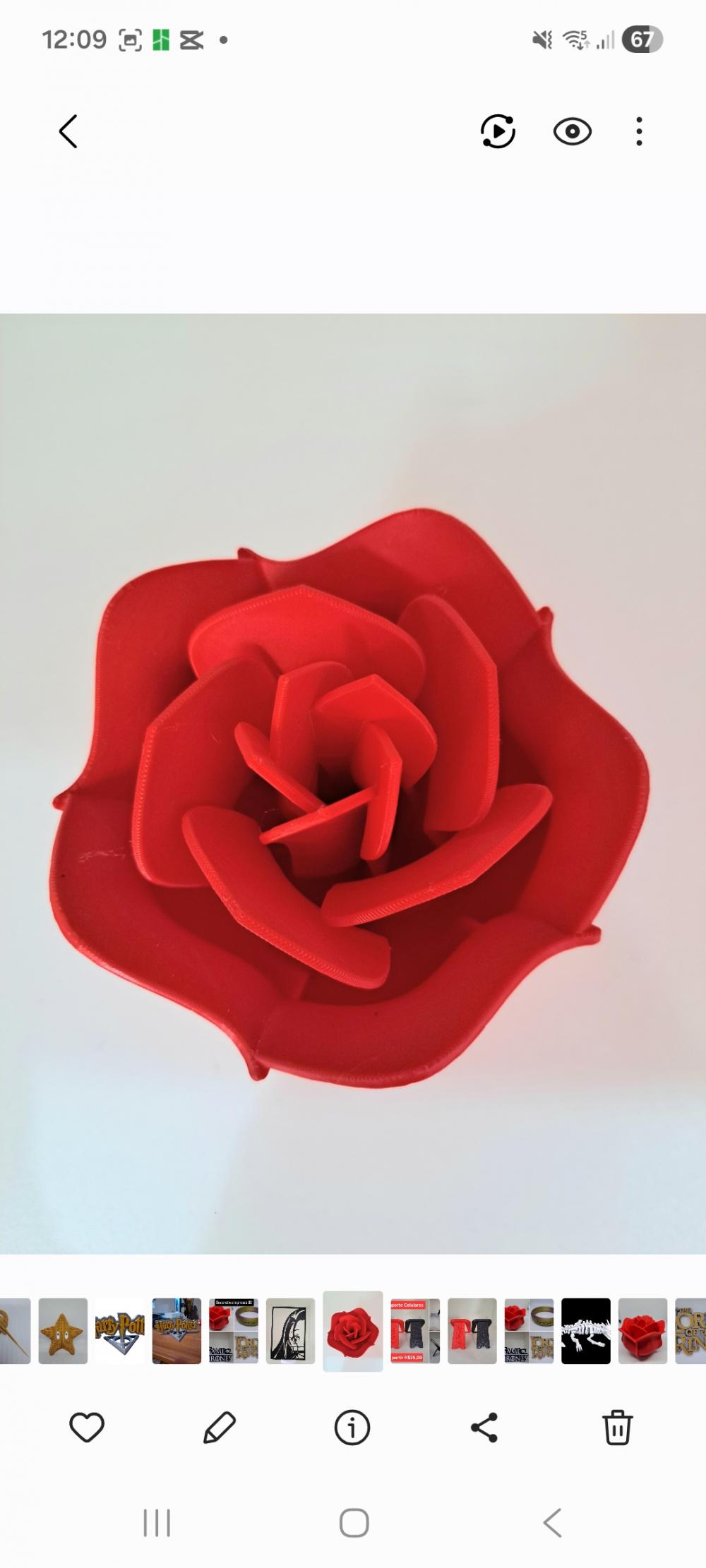 Rosa Decorativa
