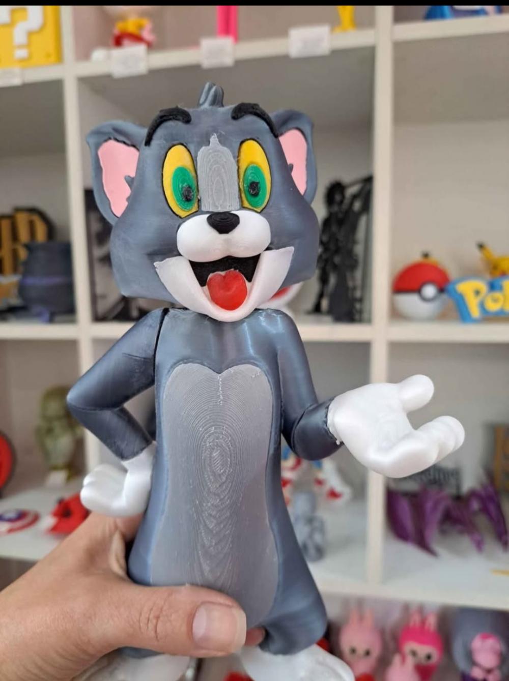 Tom 3d Impresso Desenho Tom& Jerry