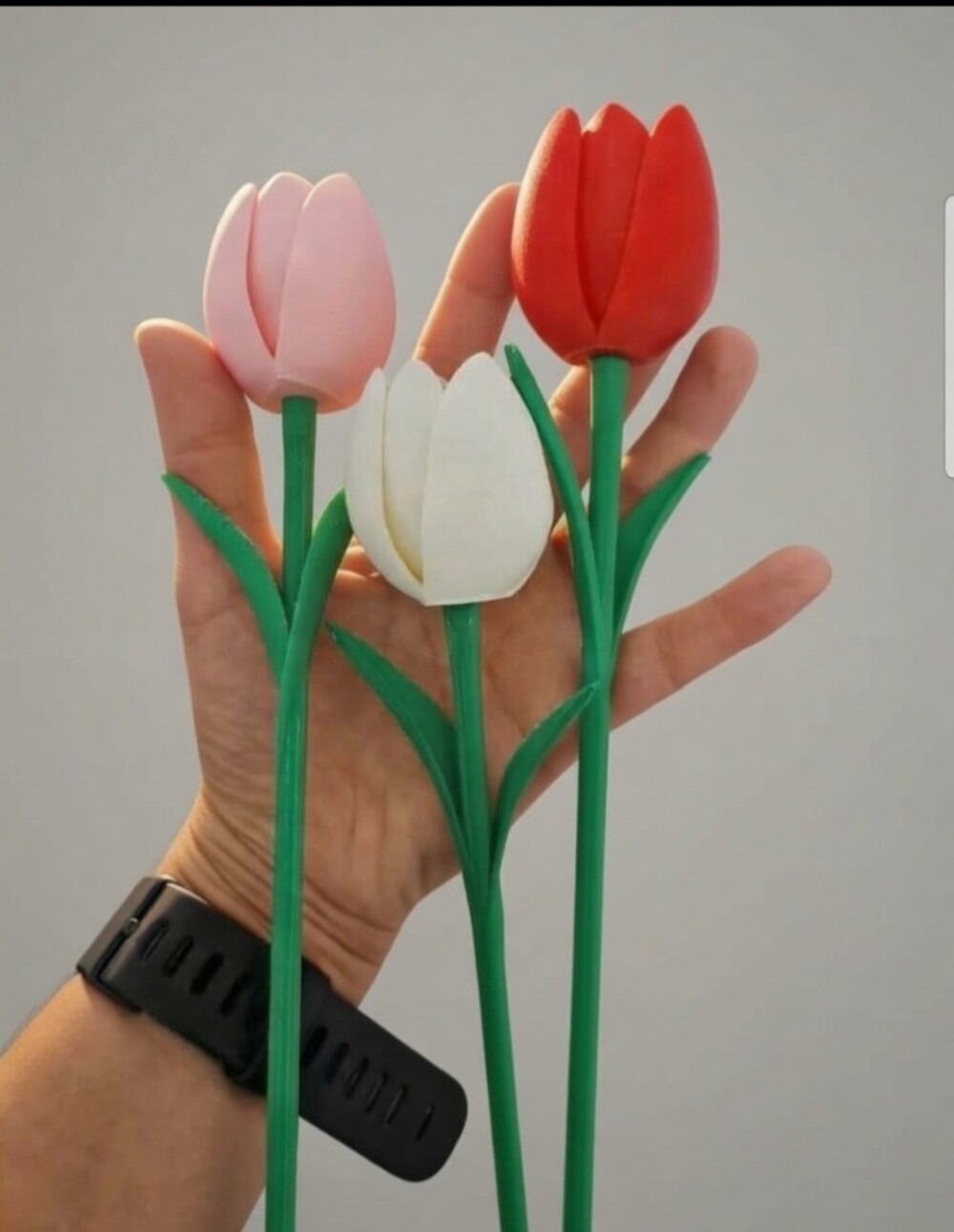 Kit 3 Tulipas 3d Coloridas