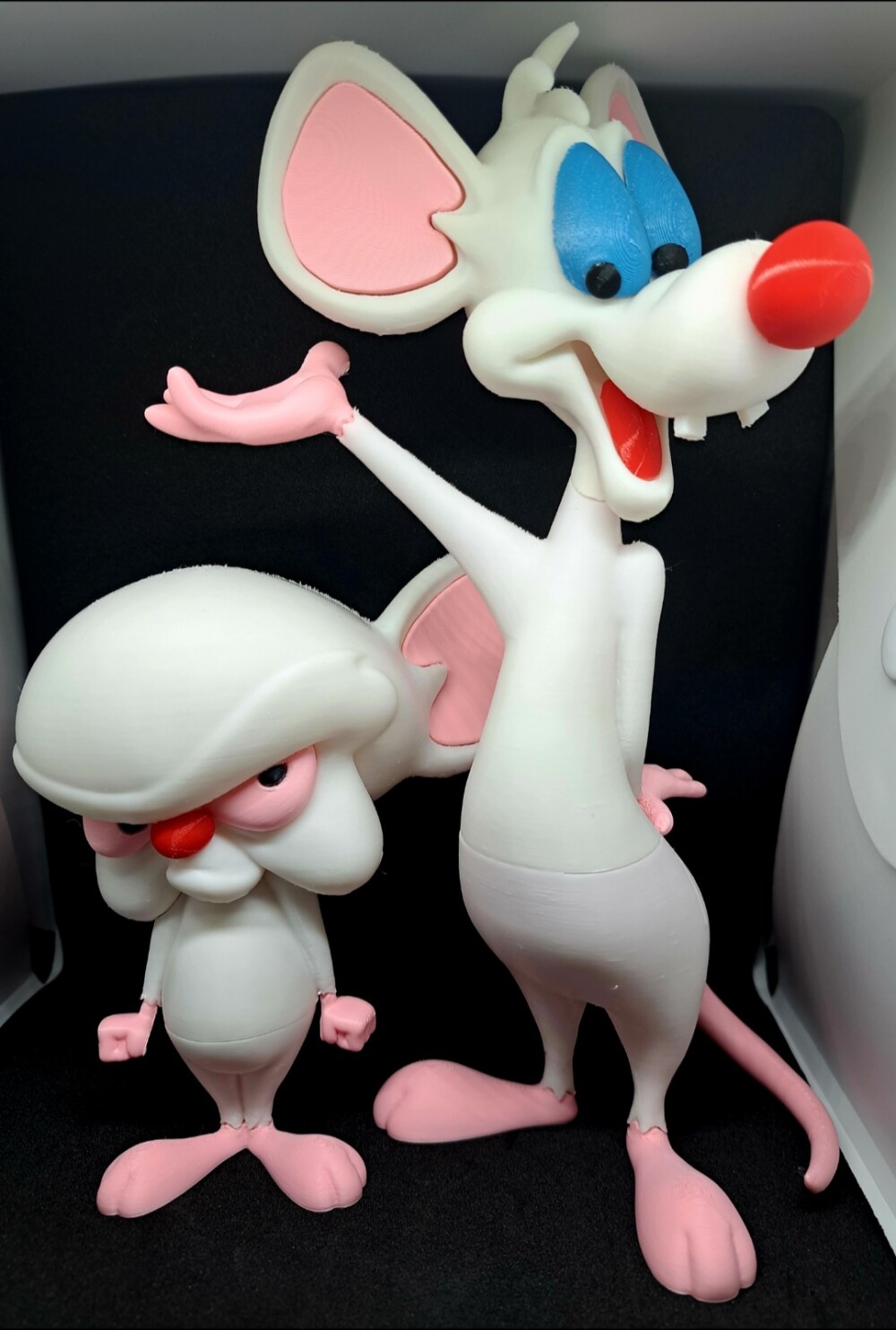 Cérebro e Pinky 3d Print