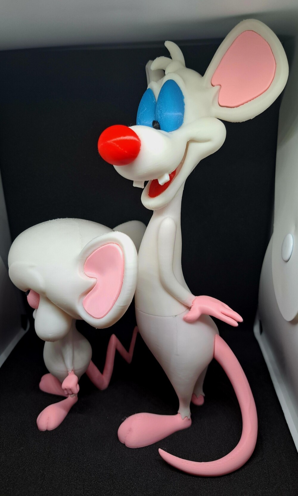 Cérebro e Pinky 3d Print