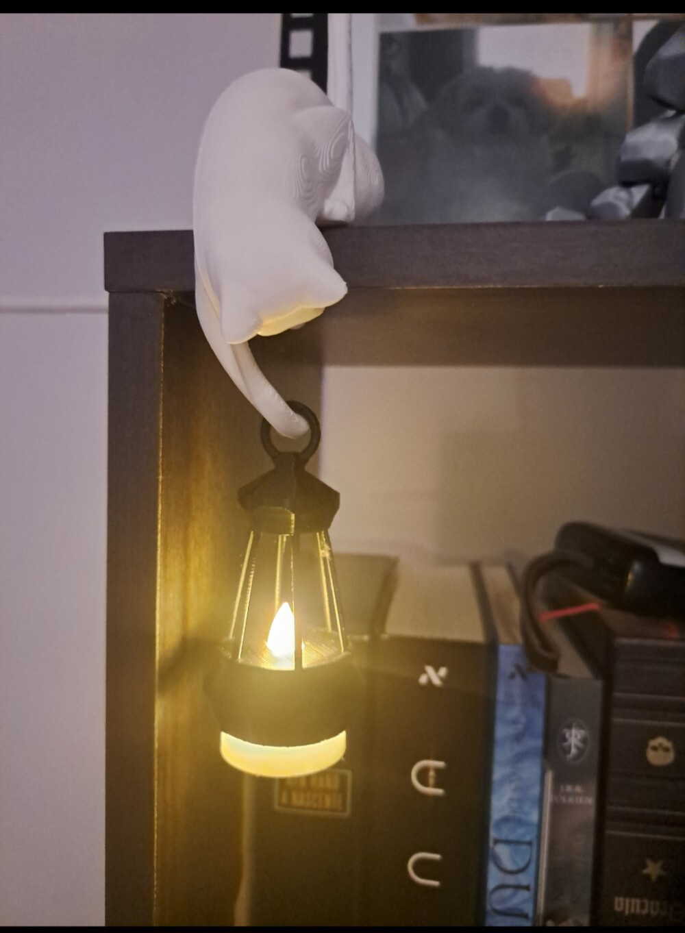 Gancho de Prateleira de Gato com Iluminação