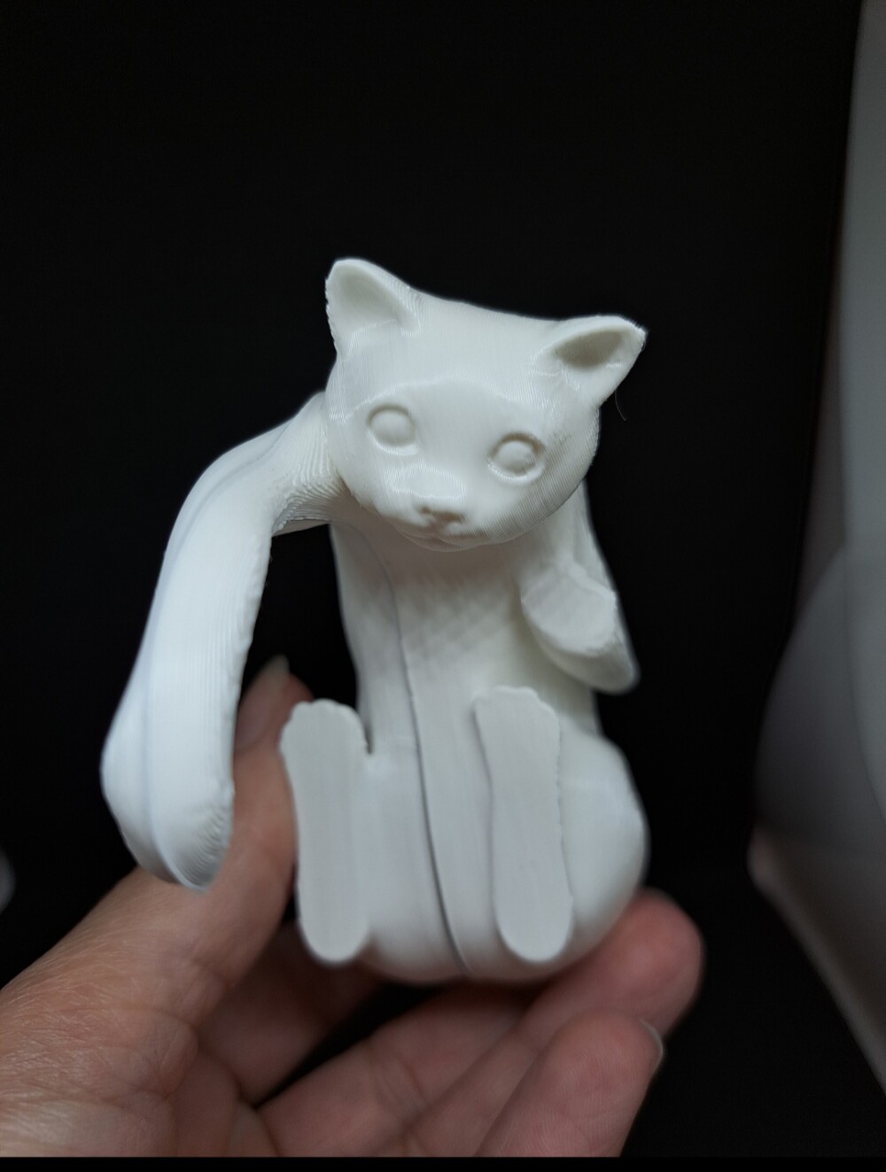 Gancho de Prateleira de Gato com Iluminação