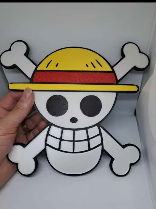 Placa Pirata One Piece