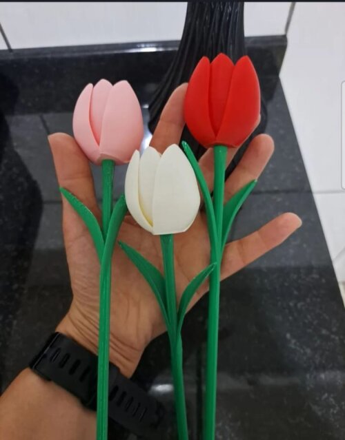Kit 3 Tulipas 3d Coloridas