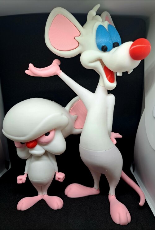 Cérebro e Pinky 3d Print