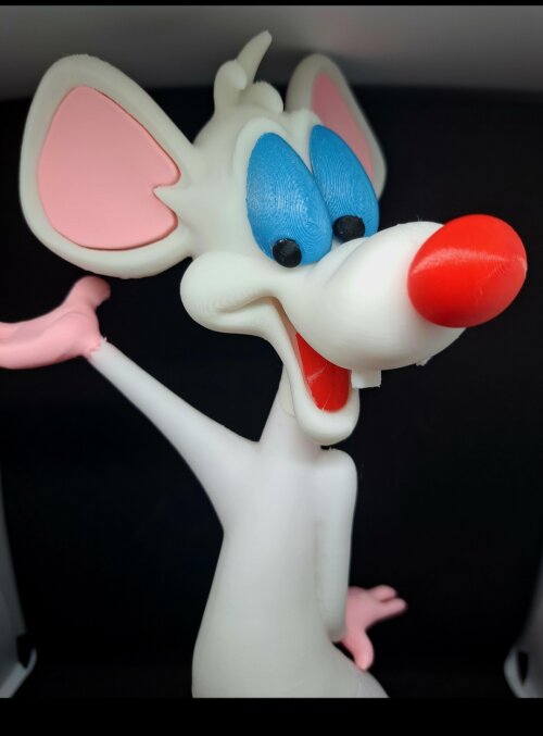 Cérebro e Pinky 3d Print